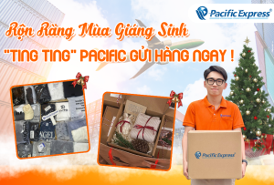 Pacific Express - Gửi Quà Đi Nước Ngoài Dịp Giáng Sinh